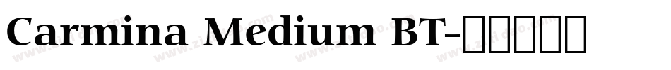 Carmina Medium BT字体转换